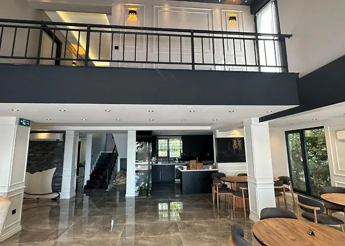 Parna Sapanca Villa *